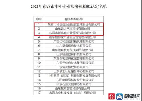 東營高新區(qū)再添新翼 三家市級中小企業(yè)服務(wù)機構(gòu)獲認定，聚焦計算機軟硬件開發(fā)與銷售